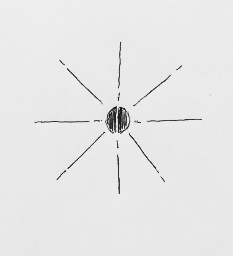 An illustrative sketch of a flower